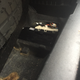 Illustration for article titled My Moms Mercedes ML350s power tailgate motor stopped working